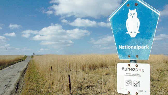 »Schub für den  Tourismus«