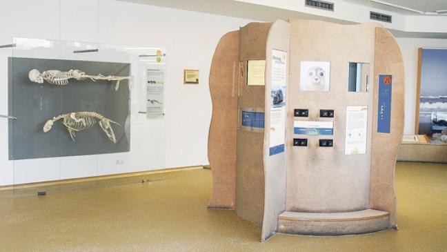 Seehundstation frisch renoviert