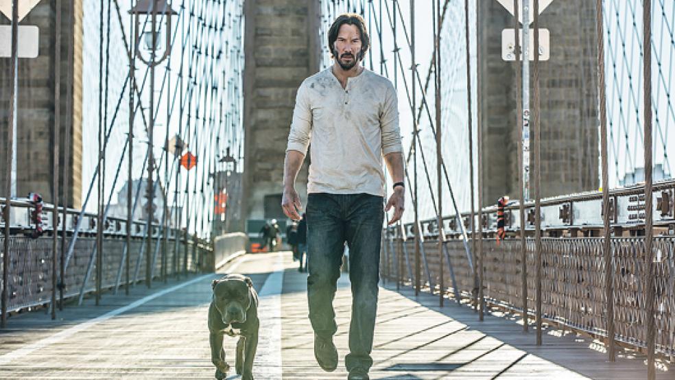 Eigentlich wollte er sich aus dem Killer-Business zurückziehen. Aber daraus wird für John Wick (Keanu Reeves) wieder einmal nichts.  © Foto: Concorde Film/Niko Tavernise
