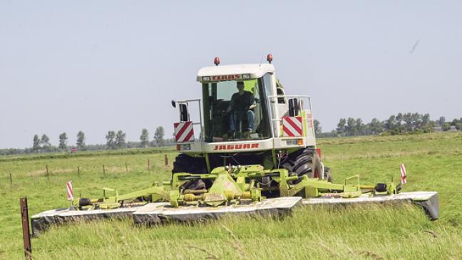 Bodenschutz oder Enteignung