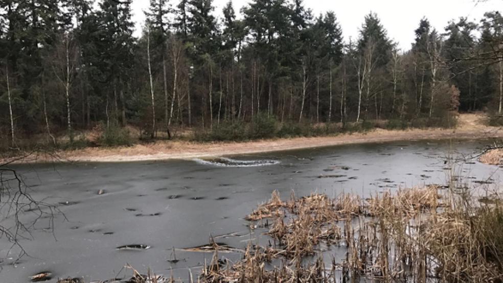 Die Feuerwehr zerschlug das Eis des Silbersees im Heseler Wald, um zu den Mädchen zu gelangen. © Foto: Feuerwehr