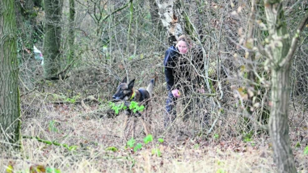 : Im November vergangenen Jahres wurde von Polizisten - ohne Erfolg - nach Gerda Basse in einem Waldstück bei Heidenau (Landkreis Harburg) an der A1 Bremen-Hamburg gesucht (unser Bild). Jetzt am Sonntag entdeckte ein Spaziergänger den Leichnam der Galeristin aus Bingum in einem Waldstück in der Nähe von Seevetal. © Kreiszeitung Wochenblatt/Marquardt 