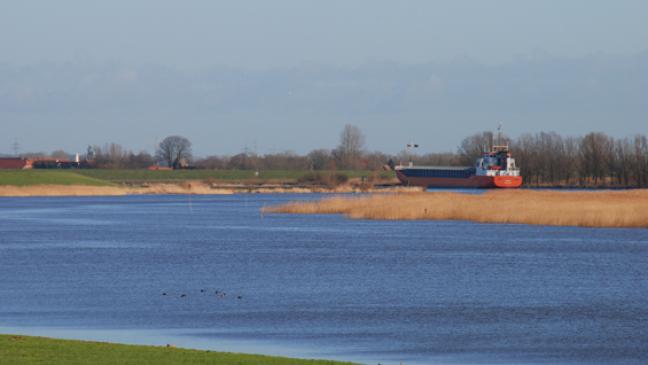 Zwist um Schutzgebiet im Deichvorland