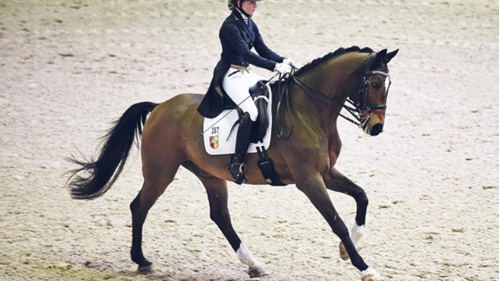 Toller Ritt: Juliette Fischer (RFV_Tammingaburg) gehörte auf »Sir Arnold« zu den ostfriesischen Teilnehmerinnen in der S*-Dressur. © Foto: Gleich