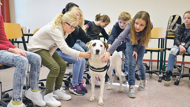 Tierisch: Unterricht mit Schulhund »Oskar«