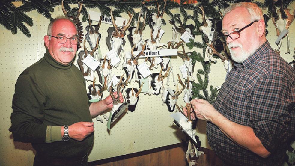Heinrich Rauert aus Ihrhove, Zweiter Vorsitzender der Kreisjägerschaft (links), und Harm Groeneveld aus Holtgaste bei der Auswertung der angelieferten Gehörne. © Foto: Wolters