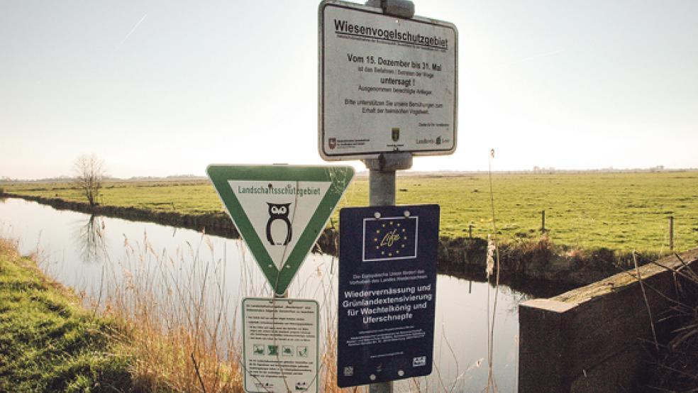 In dem Gebiet zwischen Hatzumerfehn und Marienchor gelten verschiedene Schutzbestimmungen. © Fotos: Szyska
