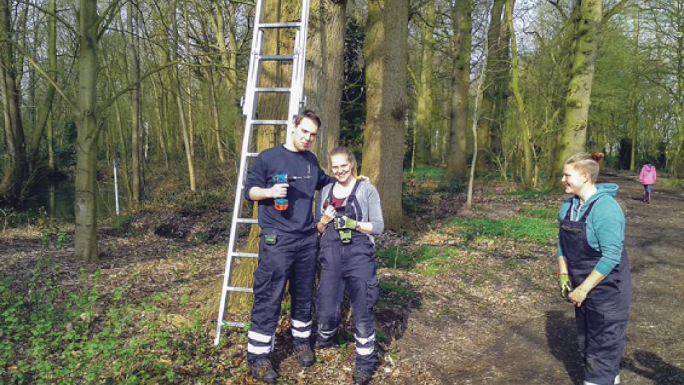 Einsatz im Stapelmoorer Park: Mit vielen freiwilligen Helfern und Unterstützung von zwei neuen Parkarbeitern hat die ISP am Umwelttag die grüne Oase des Ortes aus dem Winterschlaf geholt. © Fotos: privat