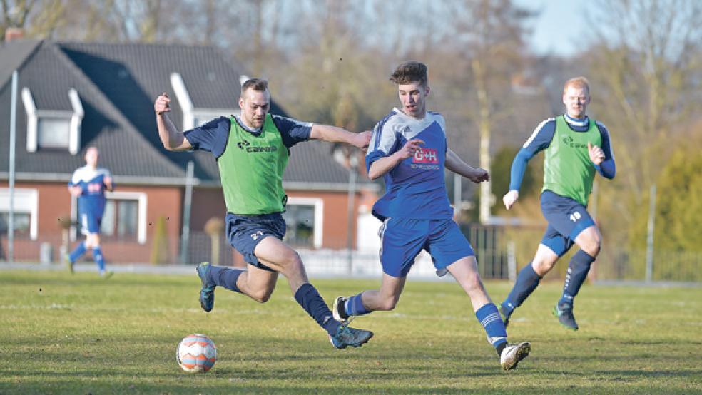 Laufen und laufen und laufen müssen dieser Tage die Spieler des Heidjer SV um Alfred Tamoschat (links). Am Wochenende steht erneut ein Doppelspieltag an. Die Holthuser um Fabian Yzer spielen am Sonntag gegen Völlenerkönigsfehn.  © Foto: Bruins