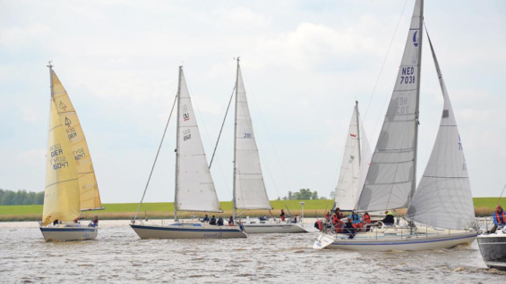 Bei der Ems-Port-Regatta starteten 16 Boote aus sieben Vereinen. © Foto: privat