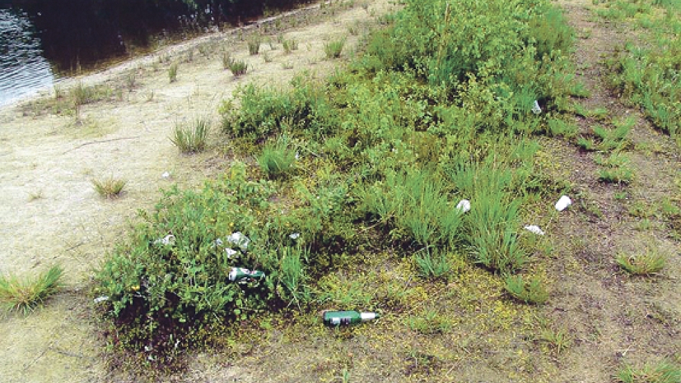 Immer wieder finden sich in dem Biotop Dosen, Flaschen und anderer Abfall.  © Foto: Landkreis Leer