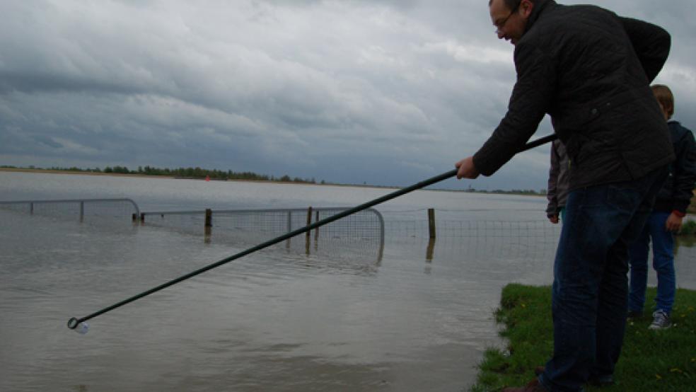 Das Gesundheitsamt des Landkreises Leer nimmt regelmäßig Proben aus den Badegewässern - hier am Hafen in Jemgum, wo das Baden inzwischen nicht mehr erlaubt ist. © Foto: Archiv