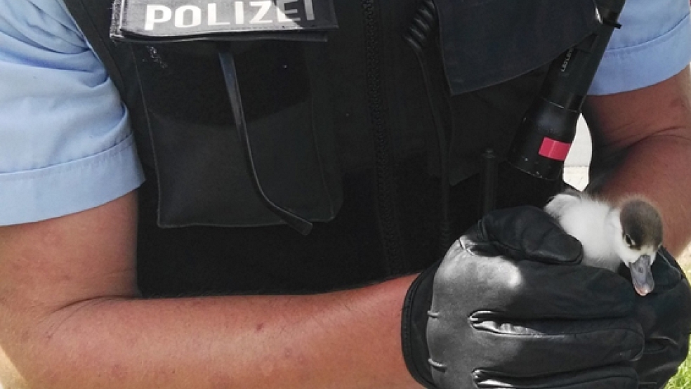 Ein rührender Moment: Ein Bundespolizist mit dem geretteten Entenküken. © Foto: Bundespolizei