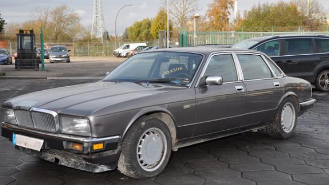 Jaguar fällt auf - mit Mann am Steuer