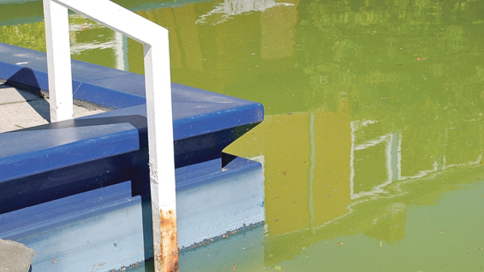 Das Lehrschwimmbecken in Stapelmoor hat gute und schlechte Zeiten hinter sich. Derzeit ist das Becken nicht in Betrieb. © Archivfoto:Hoegen