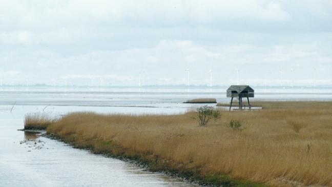 Einblicke in die heimische Naturlandschaft
