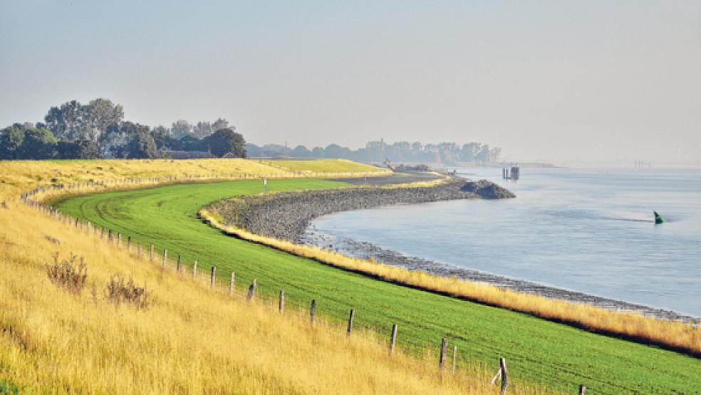 Die Unterems bei Jemgum ist Bestandteil des neuen Naturschutzgebietes. © Foto: NLWKN