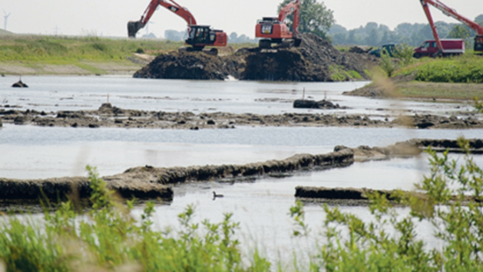 Die Baggerarbeiten für den Landschaftssee in Ditzum ruhen. Das Gewässer soll rund drei Hektar groß und bis zu drei Meter tief werden. © Foto: Hanken