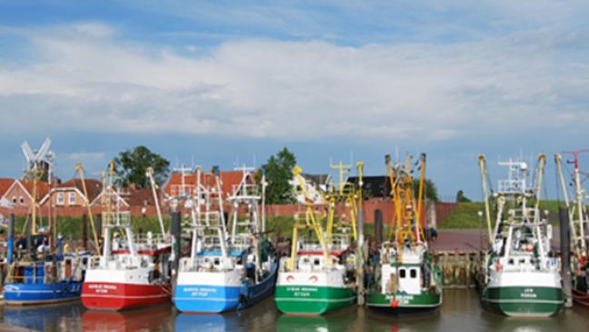 Siegel für nachhaltige Fischerei