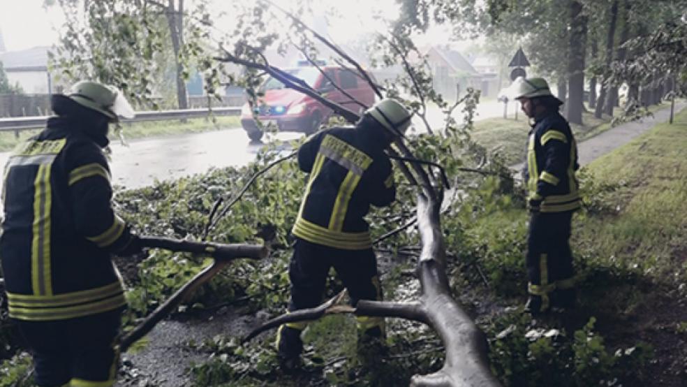 Die Feuerwehr war auch in Leer am Mittwochabend im Einsatz. Die Bundesstraße 436 beim Julianenpark musste für Aufräumarbeiten gesperrt werden. © Foto: Loger