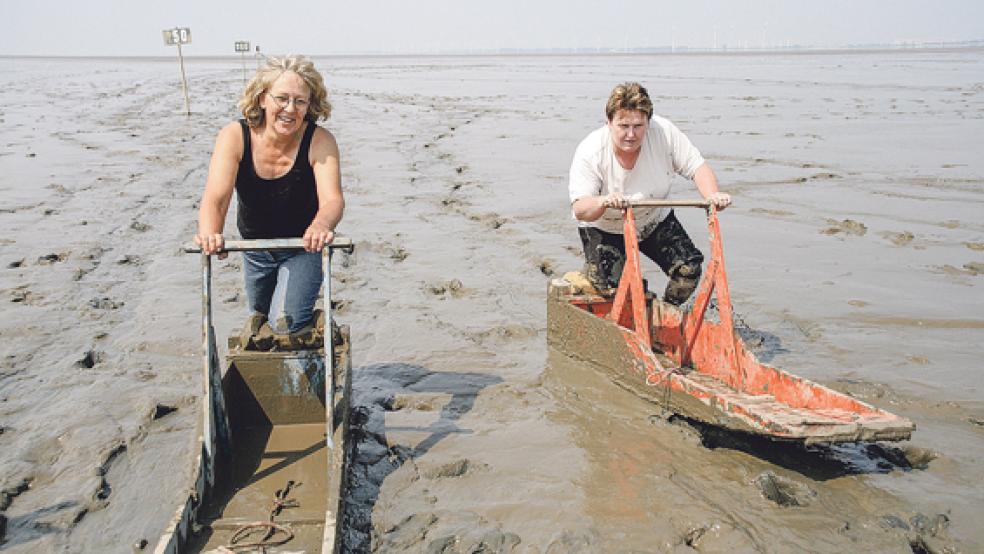 Das waren noch Zeiten: Die lokale Prominenz - hier im Jahre 2008 die Jemgumer Christdemokratin Frieda Hensmann (links) und die Bunder Sozialdemokratin Johanne Modder - lieferte sich manches Kreierrennen im Watt vor der Bohrinsel. © Foto: Archiv