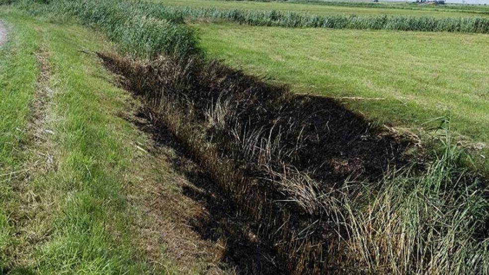Die Böschung an der Oldendorper Straße ist auf rund 100 Metern in Brand geraten. © Foto: Feuerwehr
