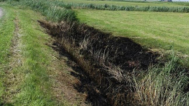 Böschung brennt auf 100 Metern Länge