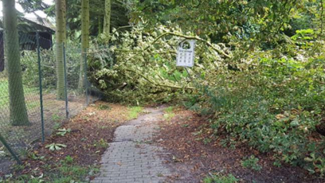 Sturmschaden beim Anglerheim