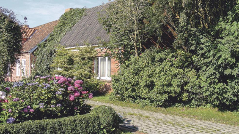 Das Haus »Kirchring 13« am Emsdeich in Pogum ist hinter Büschen und Bäumen nur teilweise zu sehen. Die Rheider Deichacht hat einen Nutzungsvertrag mit einem Nachbarn gekündigt und den Abriss beschlossen. © Foto: Szyska