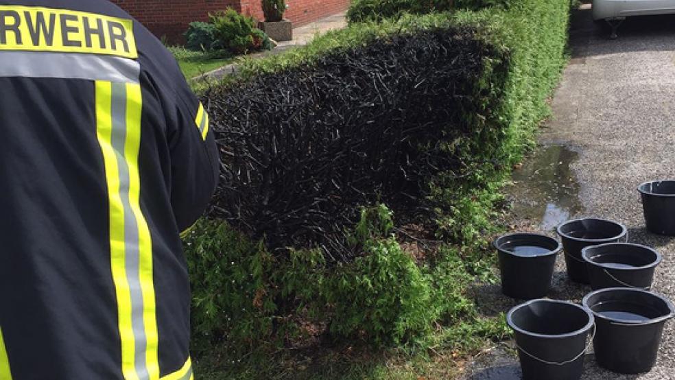 Wieder hat der unsachgemäße Umgang mit einem Abflammgerät einen Heckenbrand ausgelöst. Diesmal in Veenhusen. © Foto: Kreisfeuerwehr