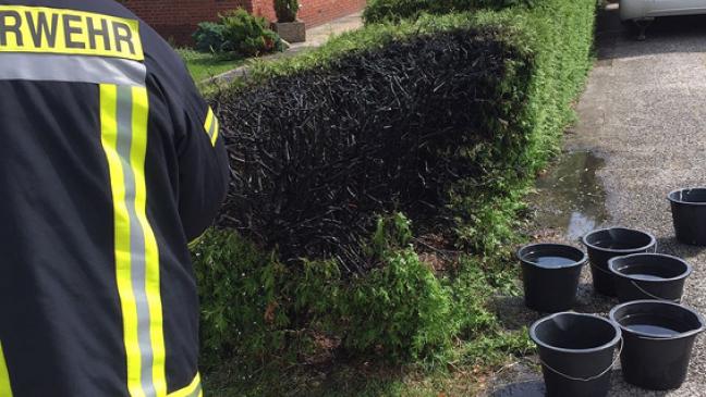 Schon wieder:  Hecke in Flammen