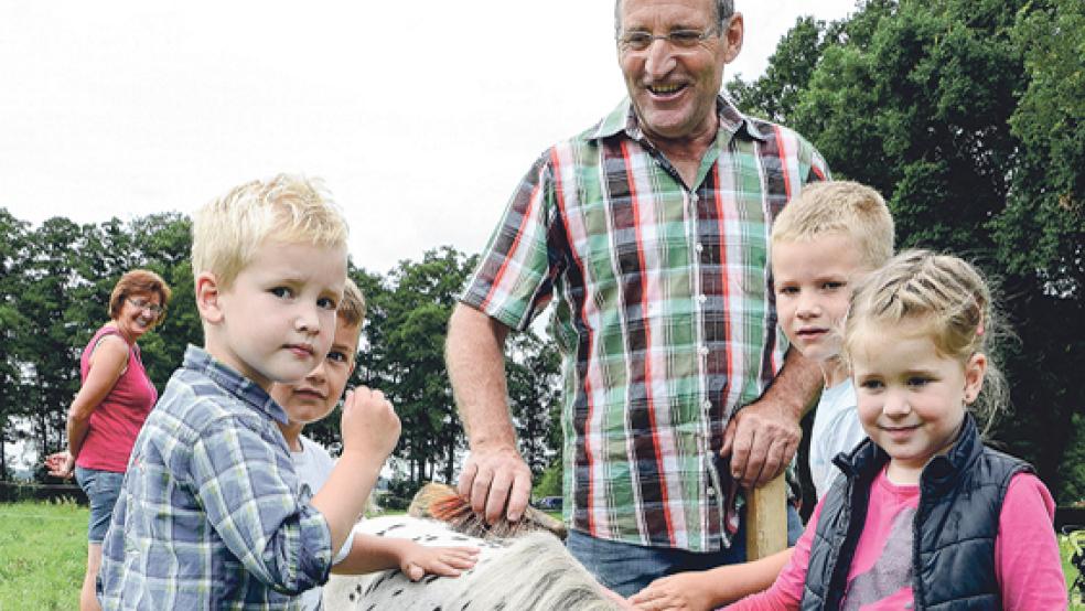 Hautnah dabei: Auf einer eingezäunten Fläche liefen zwei kleine gefleckte Ponys, die nichts gegen eine ausgiebige Streicheleinheit hatten. © Fotos: Muising