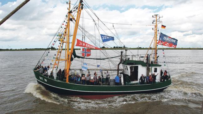 Ditzum feiert mit Kuttern und teuren Krabben