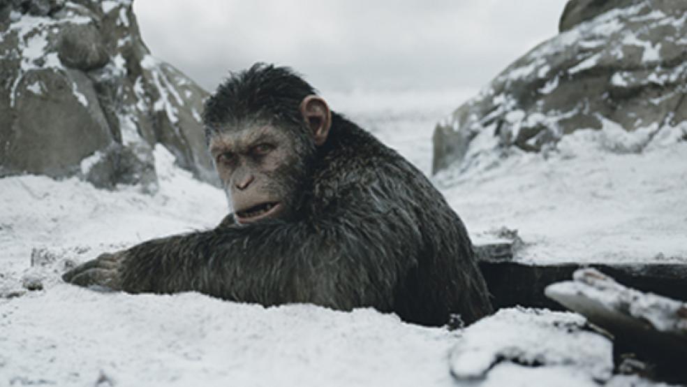 Vergeltung statt Verständigung: Nachdem seine Familie in Mitleidenschaft gezogen wurde, sinnt nun auch Affen-Chef Caesar (Andy Serkis) nach Rache. © Foto: 20th Century Fox