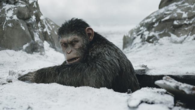 Ein Kampf ums Überleben