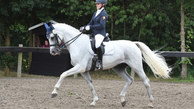 Rund 1000 Starts in Oldersum