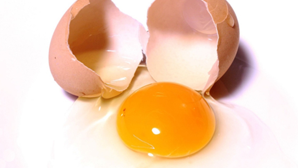 Das in der Geflügelzucht verbotene Gift ist erstmals in einem Hühnerstall in Ostfriesland nachgewiesen worden. © Foto: Pixabay