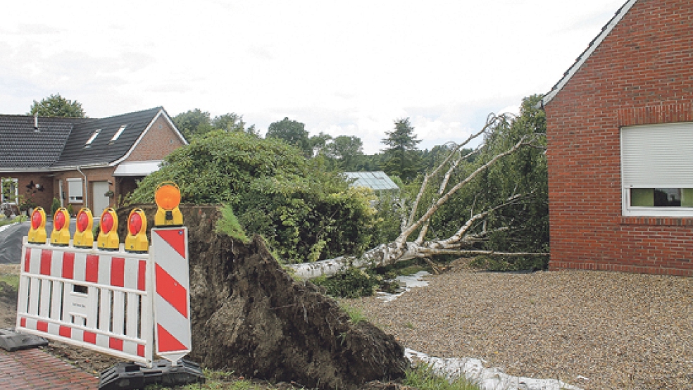 Verheerende Schäden hat das Unwetter vom 22. auf den 23. Juli in Ostfriesland angerichtet. In Holthusen wurde beispielsweise ein Baum entwurzelt (Foto). Auch Überschwemmungen hielten die Feuerwehr in Atem - und jetzt die Versicherungen. © Foto: Rand (Feuerwehr)