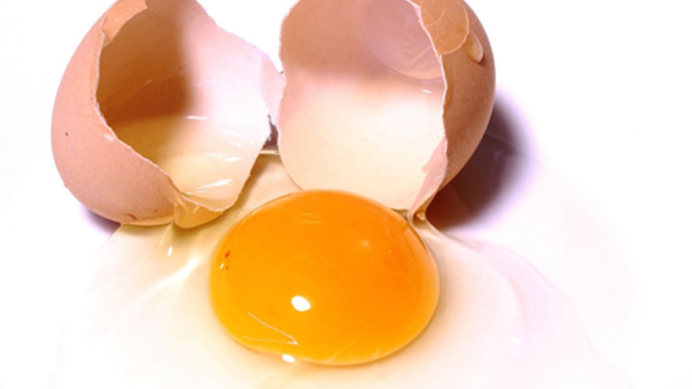Nach dem Fipronil-Nachweis in einem Betrieb in der Samtgemeinde Jümme wurden keine weiteren belasteten Eier im Landkreis getestet. © Foto: privat