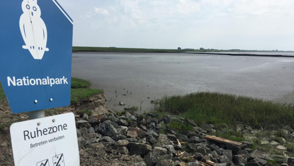 Auch künftig müssen Kite-Surfer den Nationalpark Wattenmeer (hier bei der Bohrinsel in Dyksterhusen) meiden. © Foto: Hanken