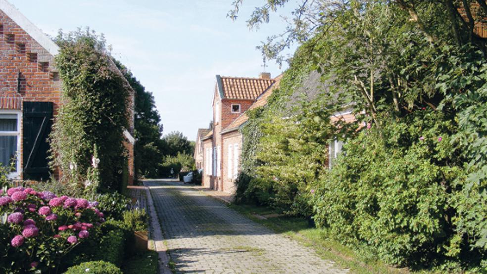 Hat das Haus am Deich, das auf diesem Bild rechts hinter dem dichten Bewuchs fast völlig verschwindet, eine Bedeutung für den Ortscharakter von Pogum? © Foto: Szyska