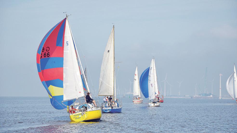 Vor dem Emder Panorama: 17 Segelschiffe nahmen im vergangenen Jahr an der Regatta teil.  © Foto: Hippen