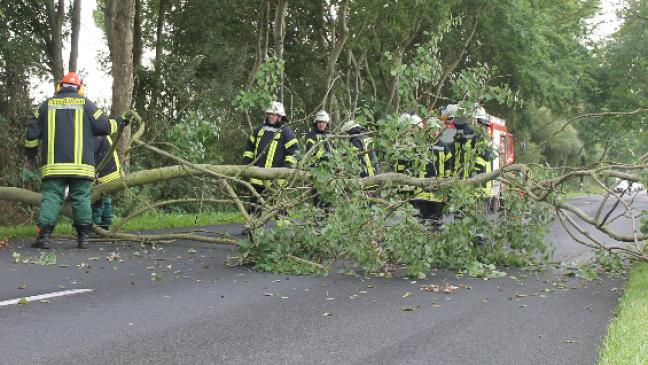 Feuerwehr räumt Baumast von der Kreisstraße 27