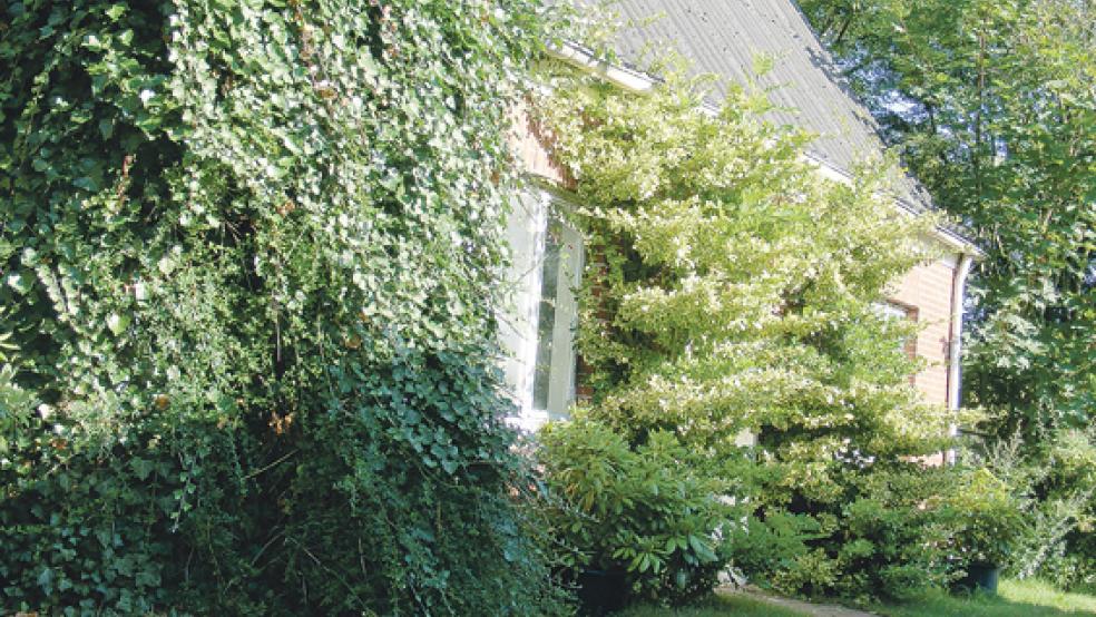 Ihr Haus am Emsdeich in Pogum will die Rheider Deichacht nun »so schnell wie möglich« abreißen lassen. © Foto: Szyska