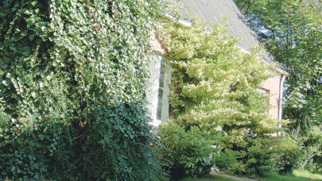 Deichacht kann Abrissbagger ordern