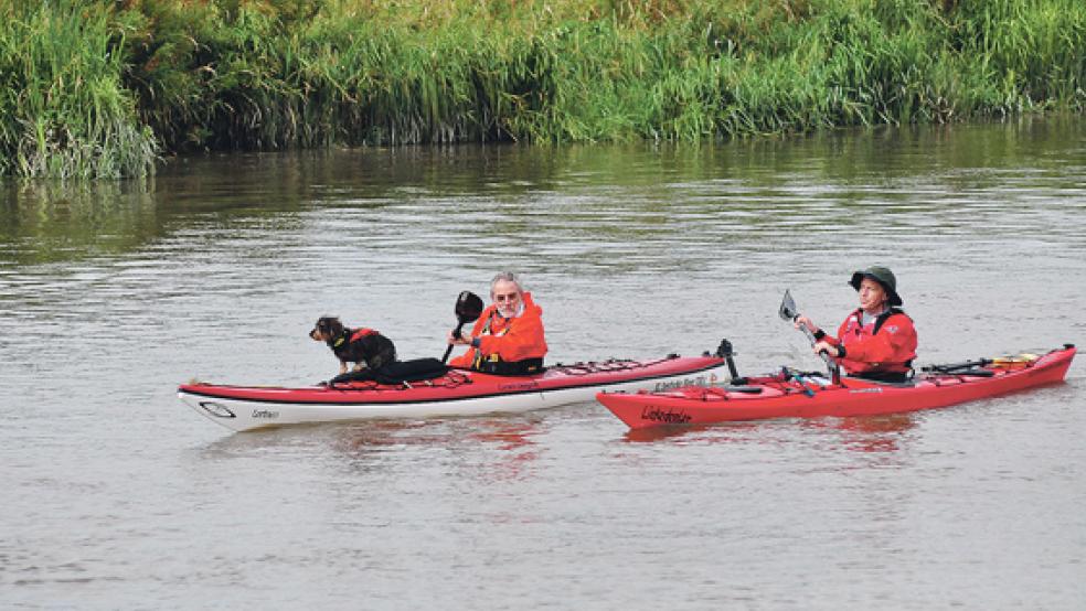 Auch dieser vierbeinige Begleiter eines Kanufahrers genoss die Fahrt.  © Foto: Wolters