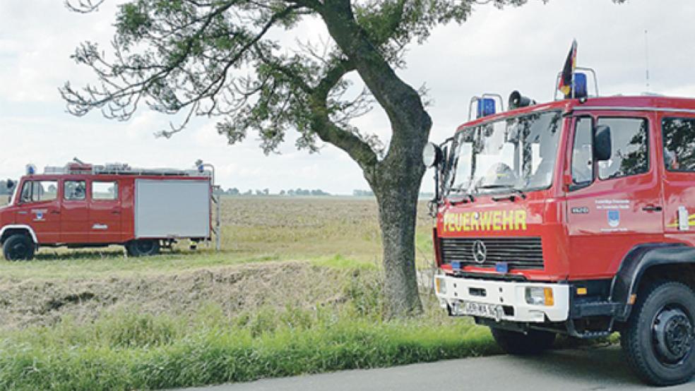 Äste und Sträucher brannten Sonntagabend in Landschaftspolder. Die Feuerwehren aus Dollart und Bunde waren im Einsatz.  © Foto: privat