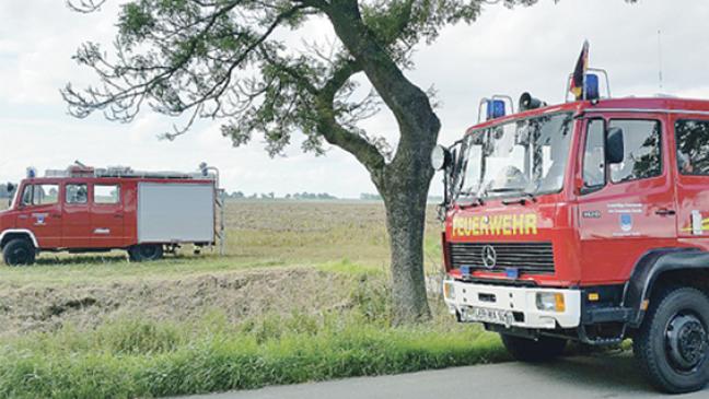 Äste und Sträucher in Brand geraten