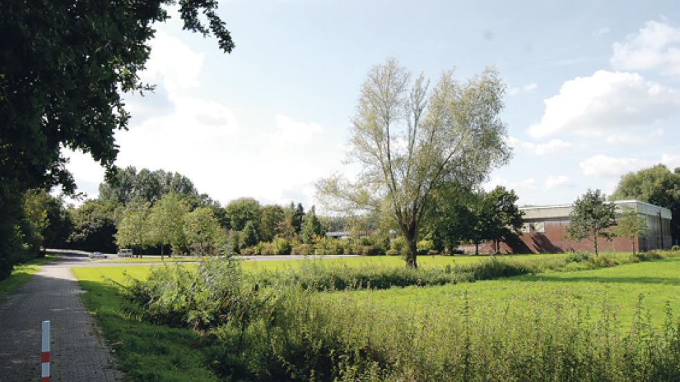 Neubau im Grünen: Ein möglicher Standort für eine neue Kindertagesstätte ist aus Sicht der Stadtverwaltung an der Floorenstraße. Im Hintergrund die Turnhalle der Oberschule. © Foto: Hoegen