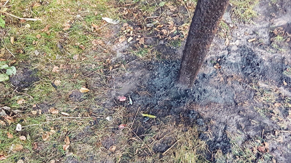 Unbekannte haben Montagabend ein Feuer am Badesee in Steenfelde gelegt. Die Polizei hat die Ermittlungen aufgenommen. © Foto: Kreisfeuerwehr